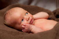 Baby Joey